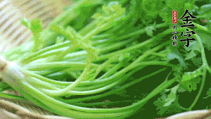挑選鮮嫩的香菜，洗干凈后，處理成小段。
